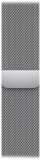 Apple 41mm Silver Milanese Loop