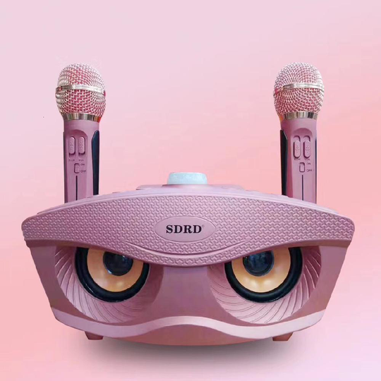 SD306 Dual Wireless Microphone Bluetooth Speaker Mobile Wireless Karaoke Speaker Wireless Stereo Speaker Set