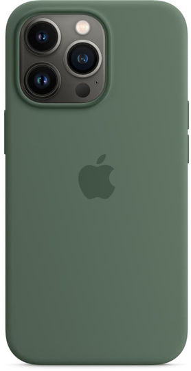 Apple Silicone Case With Magsafe Iphone 13 Pro Eukalyptus
